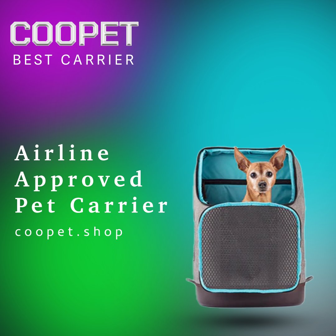 pet_coopet's tweet photo. https://t.co/J3t4ZZhVJ0