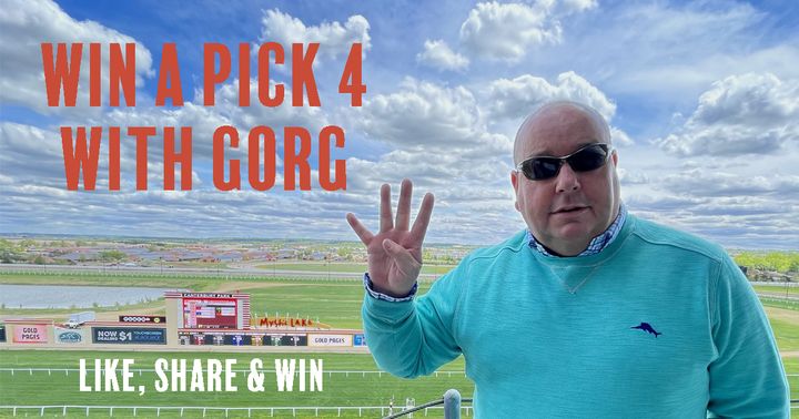 CanterburyPark's tweet photo. The race week starts tonight! Let's get a winner home! What do you say @Gorgamatic21 ? Like and Share this post and we will pick one lucky fan to share a pick 4 Ticket with @Gorgamatic21  10% Takeout Early Pick 4 and 5! 5PM Post Time! Your Race Week starts today! #BetMN https://t.co/vmNy88XRUK