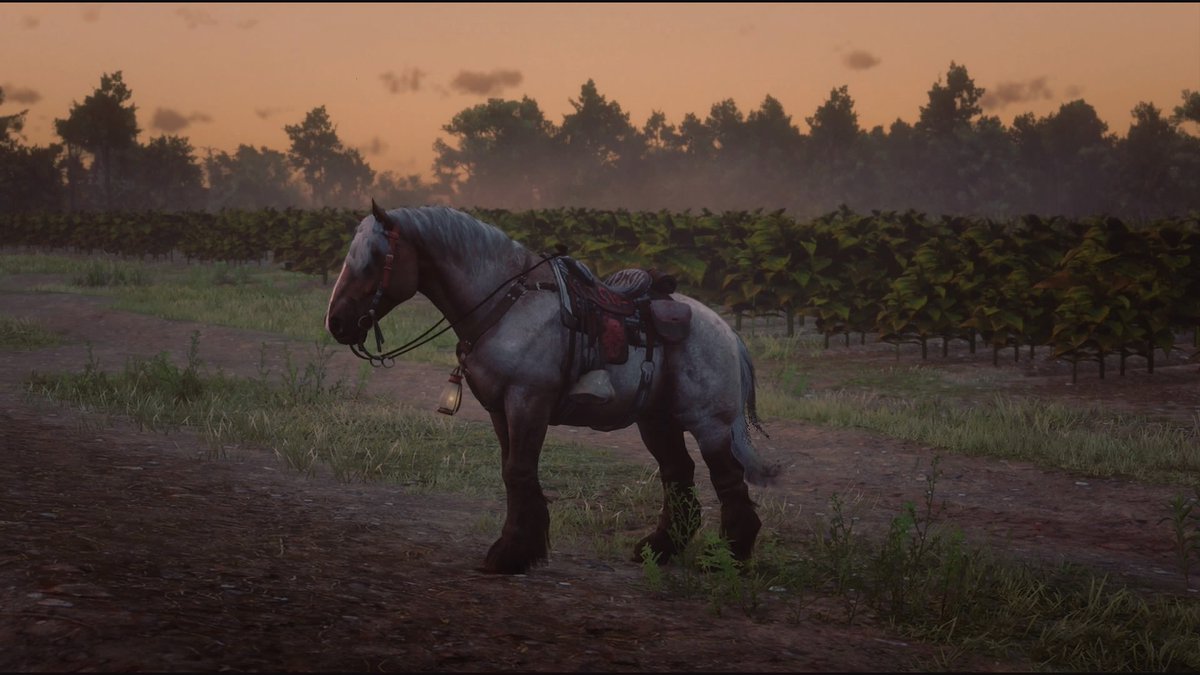 IAartistcreator's tweet photo. #PS4share https://t.co/JjU5RIApvb