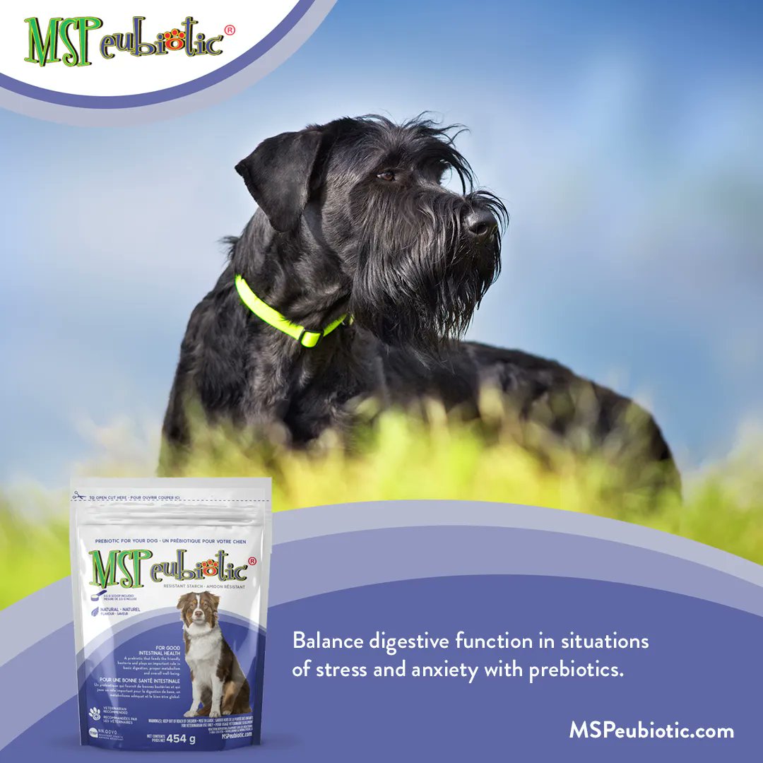 MSPeubiotic's tweet photo. Balance digestive function in situations of stress and anxiety with prebiotics. #digestion #nervousdogs #guthealth #pets https://t.co/PD0YzhQDfj