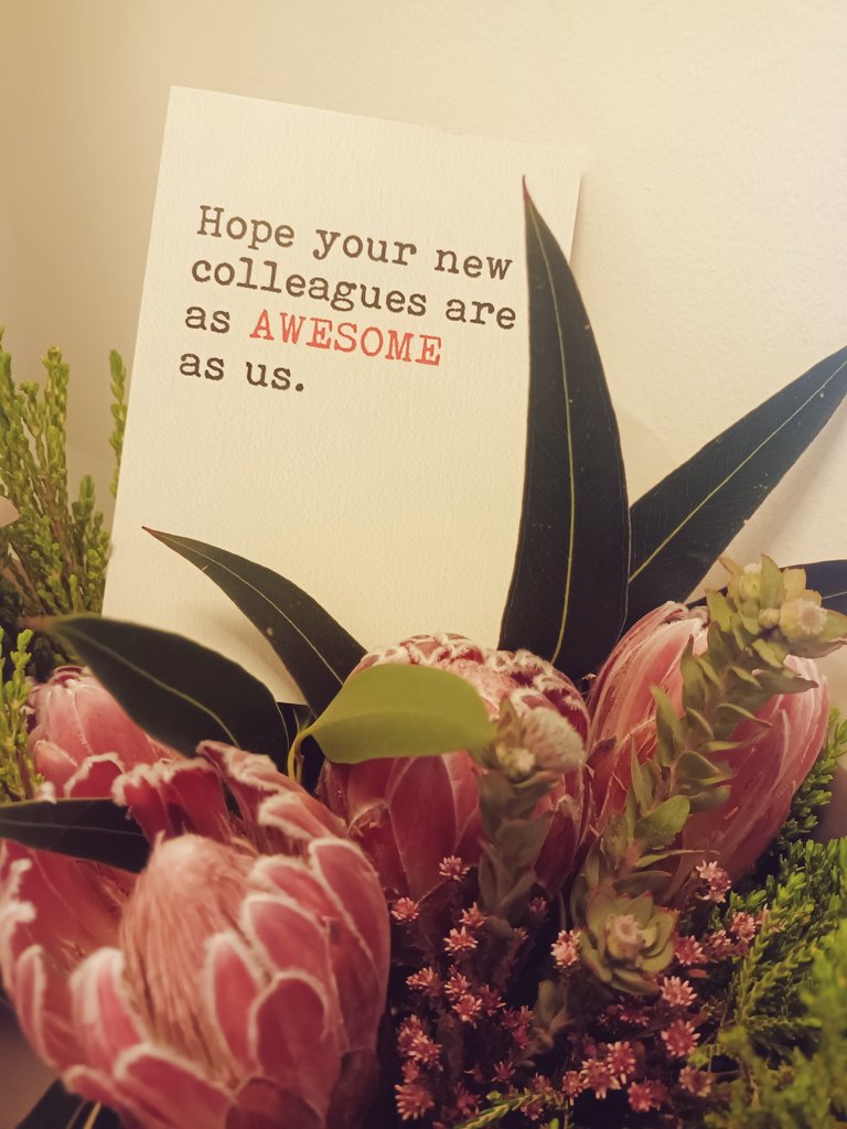 Sandy_V90's tweet photo. I really do hope that new colleagues will this awesome as @WeAreMV_ people!!! Thank you @Soarnicola for the visit and these beautiful flowers 💐  ❤️ https://t.co/PbzjLl7XyM