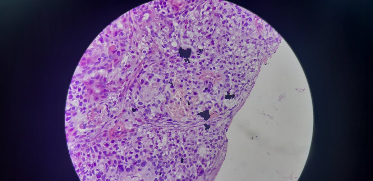 PathDiff tweet picture