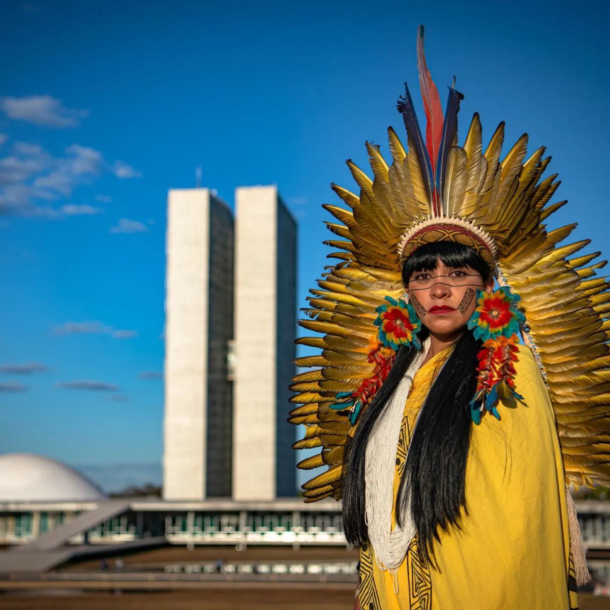 Estudo do Inesc mostra aumento de 32% nas candidaturas indígenas nessas eleições! São 42 candisatos a mais do que em 2018. A nossa candidatura é uma delas. Juntos, vamos criar a Bancada do Cocar. As candidaturas já mostram avanços, mas precisamos chegar lá! 
#celiaxakriaba5088