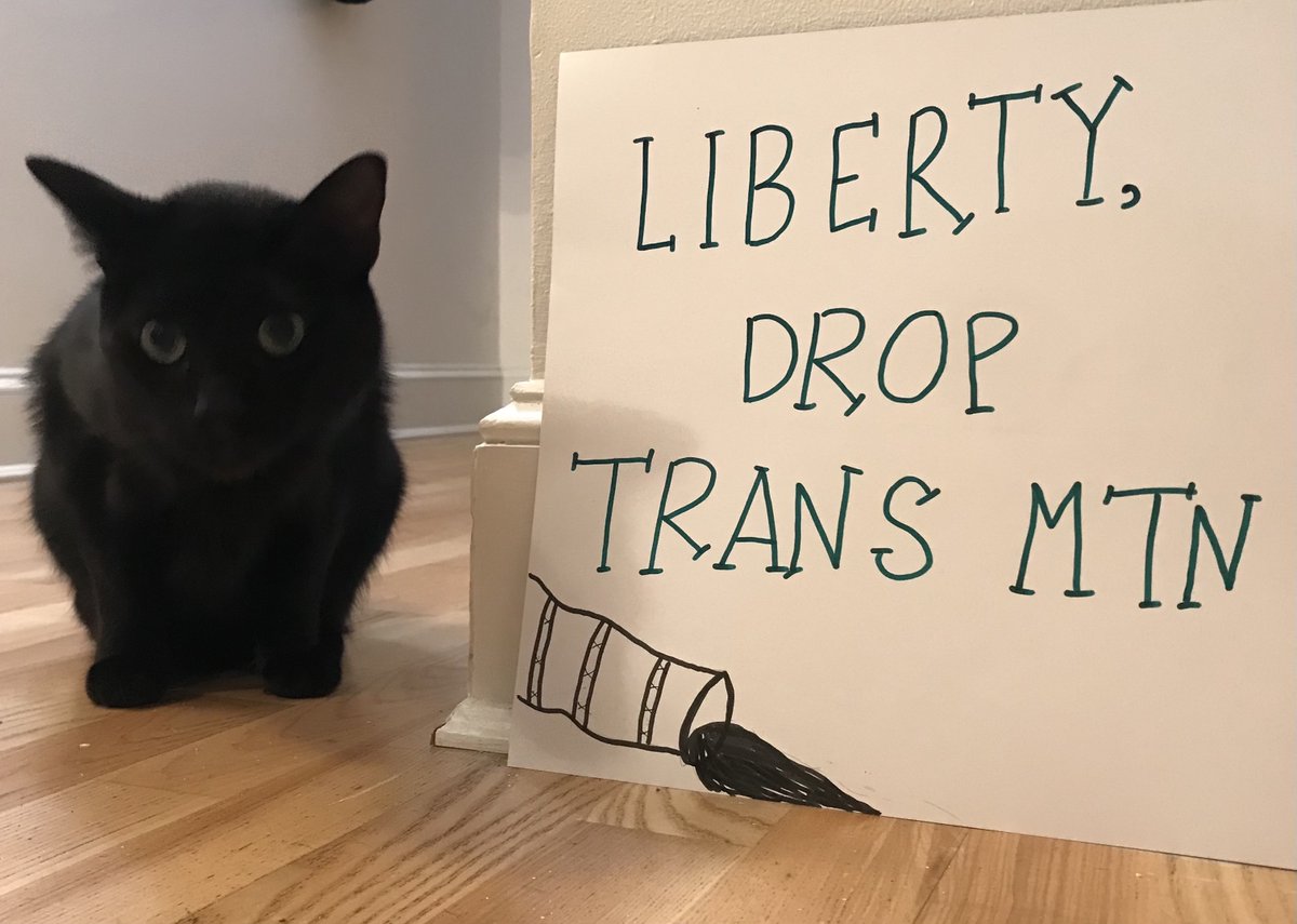 foe_us's tweet photo. Our message to @LibertyMutual: it's past time to cut ties with the Trans Mountain pipeline expansion. 18 insurers have already ruled out the project because of how risky it is.
Take action to respect Indigenous rights and protect our planet! #LibertyDropTMX https://t.co/rvOcHezX7j