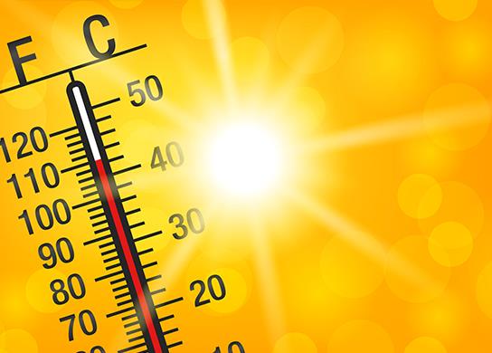 CSaanichFire's tweet image. Temperatures are rising this week!  Please remember these simple tips:
👭 Check on your neighbours 
🐕 Do not leave young children or pets in your vehicle  
🥛Keep hydrated
☀️Keep out of the sun between 11am-3pm #CSaan #BCHeat #CSaanEP