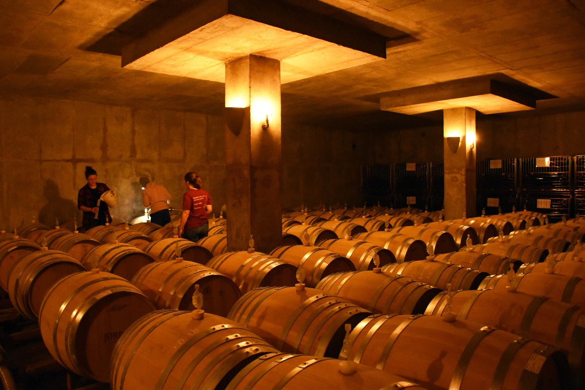 Female and looking for a winemaking internship? Look no further bit.ly/3R1chCa You need to be willing and able to spend 4 wks from end Jan 2023 at a <a href="/PIWOSA/">PIWOSA</a> winery. Applications close 30 Sep