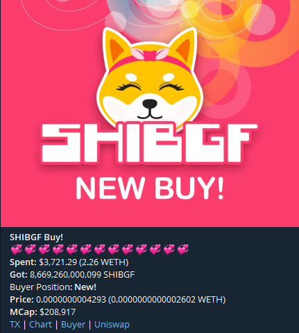 Shiba Girlfriend ($SHIBGF) 💞 tweet media