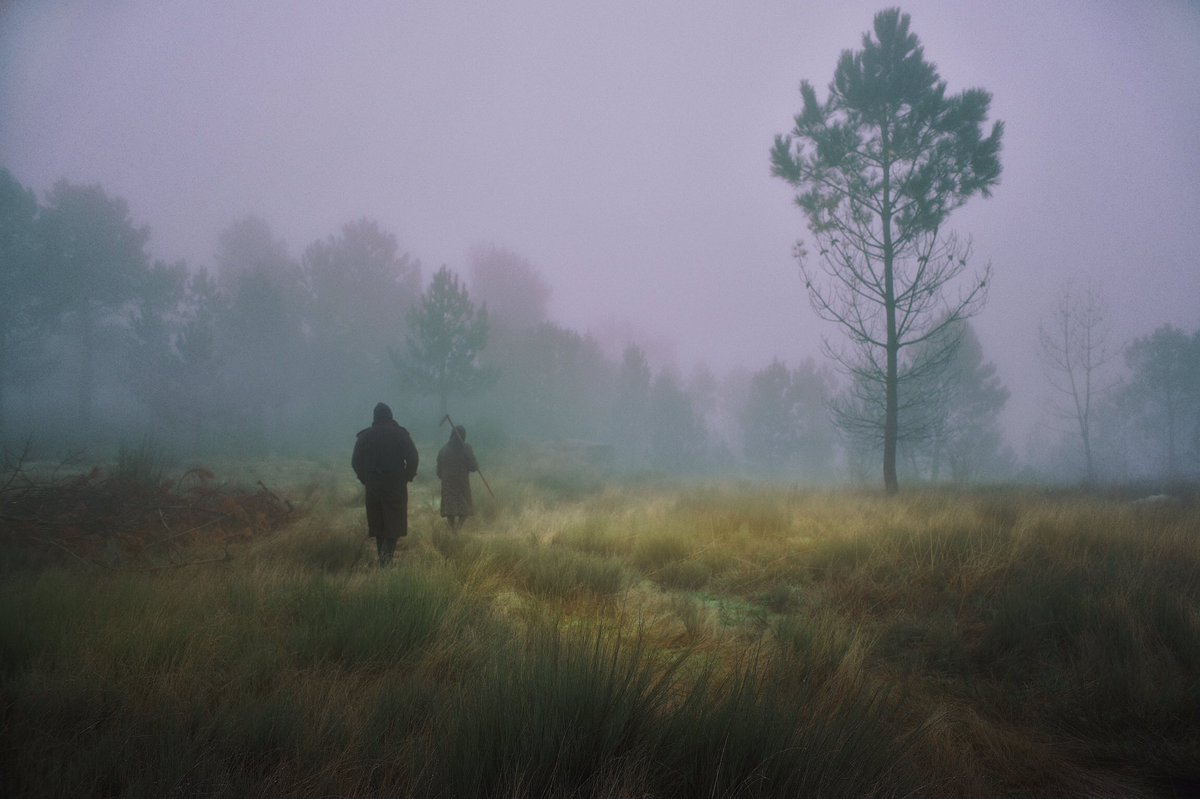 Henri Prestes tweet media