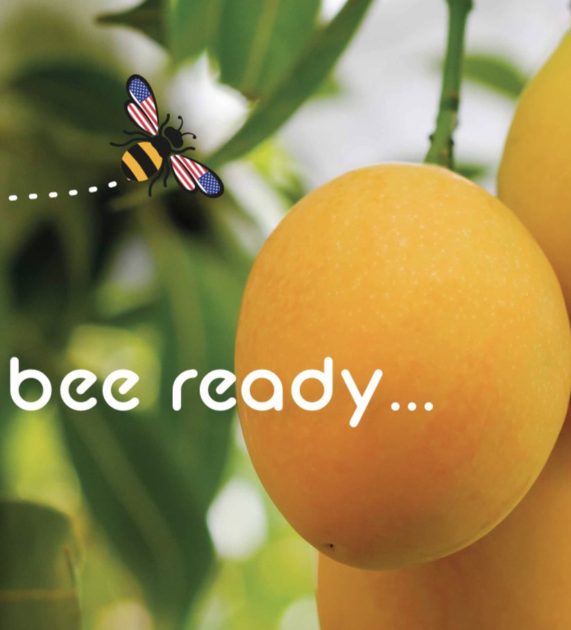 bee ready! Coming to <a href="/TotalWine/">Total Wine & More</a> stores soon! 🐝 🍯 🥭 🍹 🇺🇸