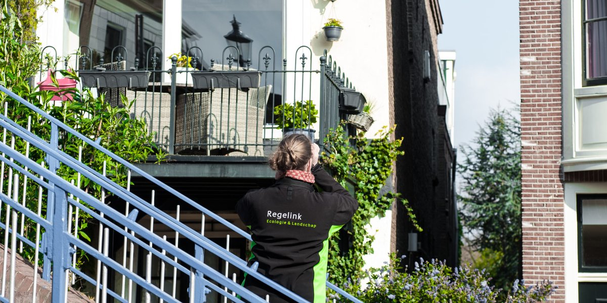 Het #soortenmanagementplan (#SMP) wint aan belang nu onze #woningvoorraad aan de vooravond staat van een enorme verduurzamingsoperatie. Maar wat is het SMP precies? En wat maakt het zo interessant? We geven graag meer achtergrondinformatie op onze website: regelink.nl/het-smp-uitgel…