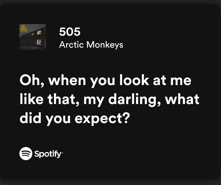505 arctic monkeys