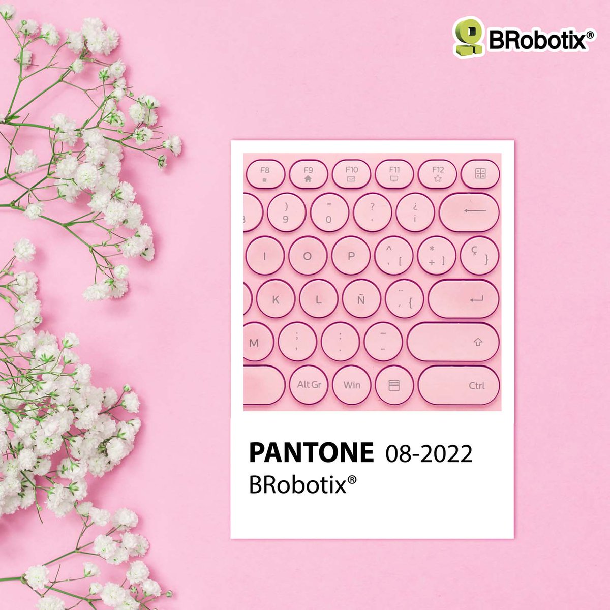 El #Pink será nuestro nuevo Pantone #BRobotix 🤭🌸🥰 ¿¿Ya sabes qué hablamos??
#backtoschool #regresoaclases #pink #rosa #tecladoymouse #pantone #somossoluciones