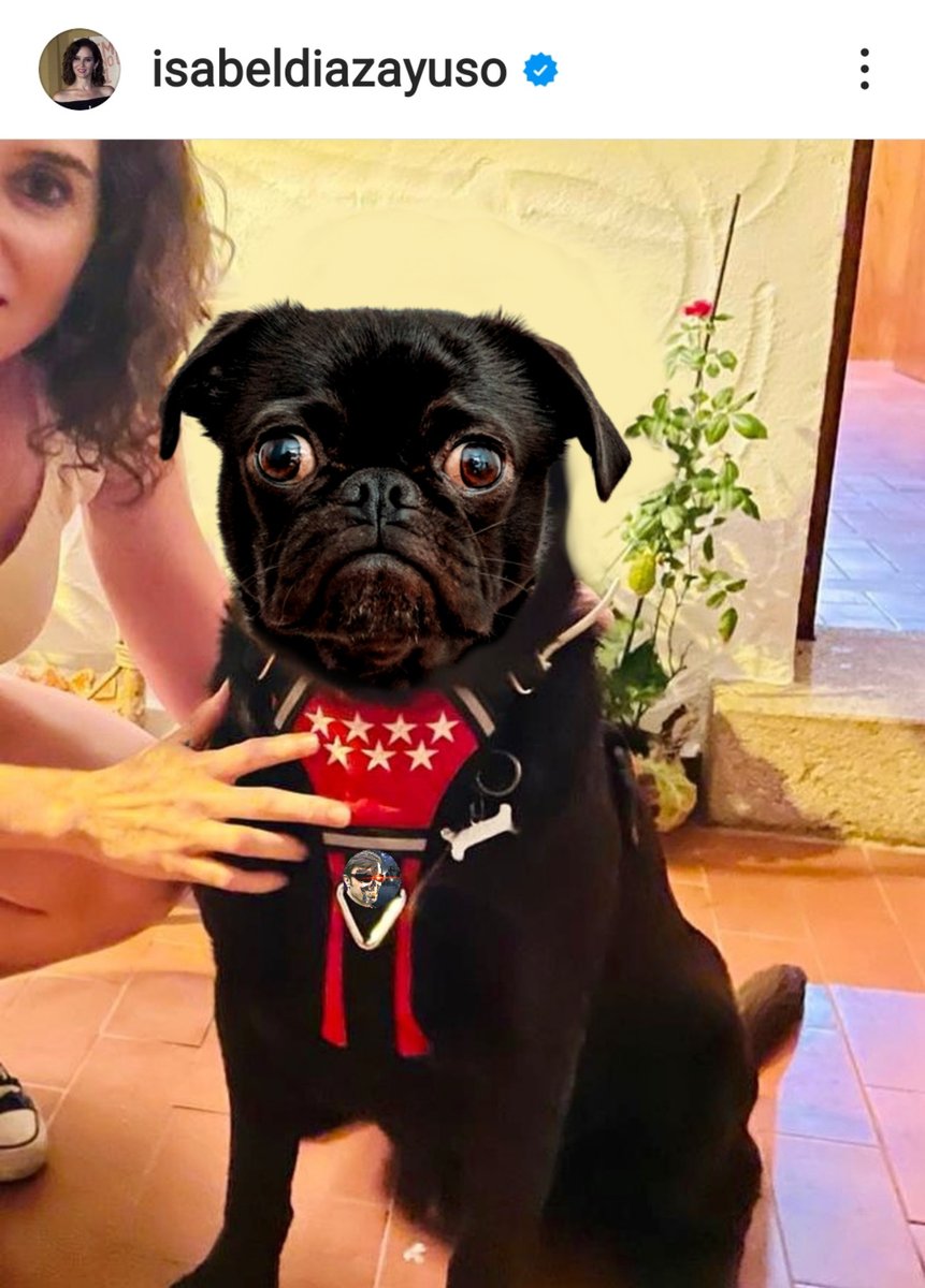 Pobres animales, los utilizan para lavar su imagen.