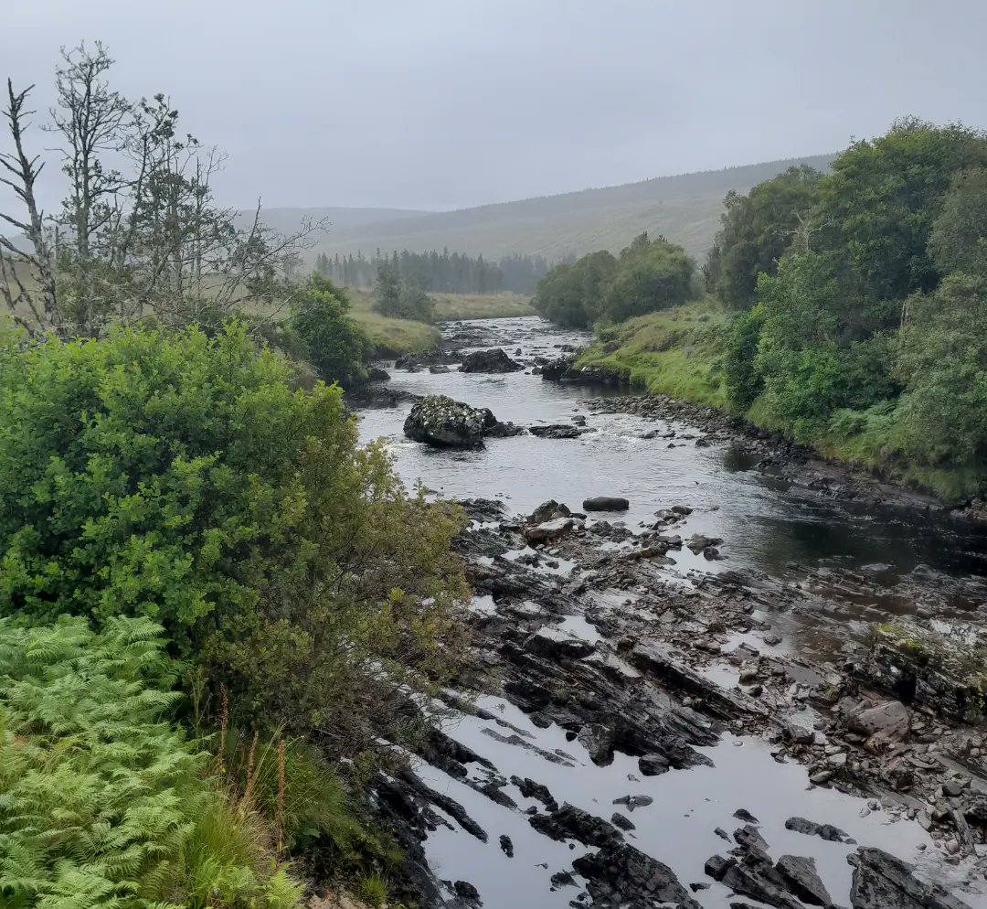 Out on the Oykel SAC soil / peat depth surveying to inform native woodland planting design