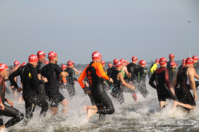 Stadt Stralsund tweet media