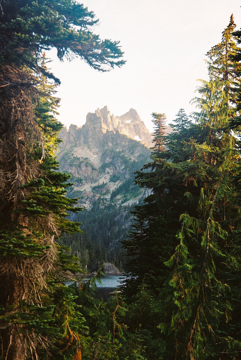 bradmbaldwin's tweet photo. Camping in Washington 🏕 🎞 https://t.co/3Bg3I2hSfx