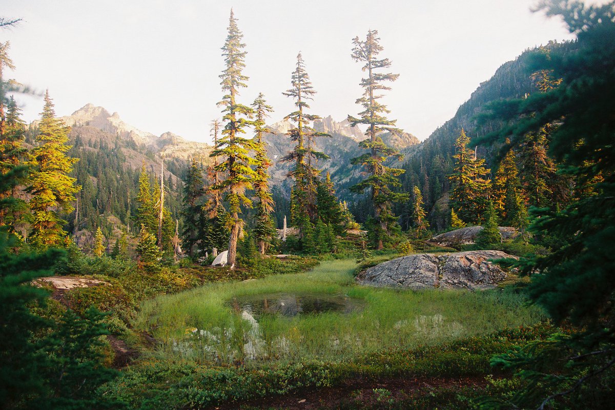 bradmbaldwin's tweet photo. Camping in Washington 🏕 🎞 https://t.co/3Bg3I2hSfx