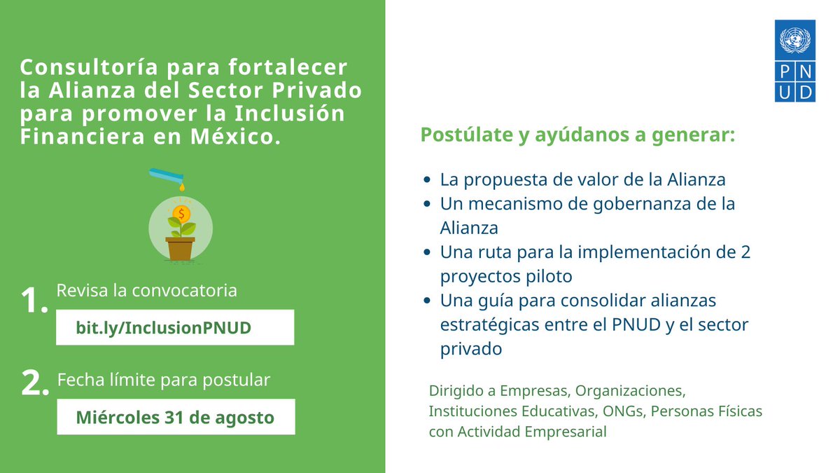PNUD_Mexico's tweet photo. #PNUDLicita | ¿Tienes experiencia en desarrollar estrategias para implementar proyectos piloto y fortalecer alianzas con sector privado? Te invitamos a postularte a esta consultoría.
🗓️ Fecha límite: 31 de agosto
📄 Convocatoria: https://t.co/EAndLQr8pR
Referencias del proyecto⬇️ https://t.co/yTVmXvIjnm