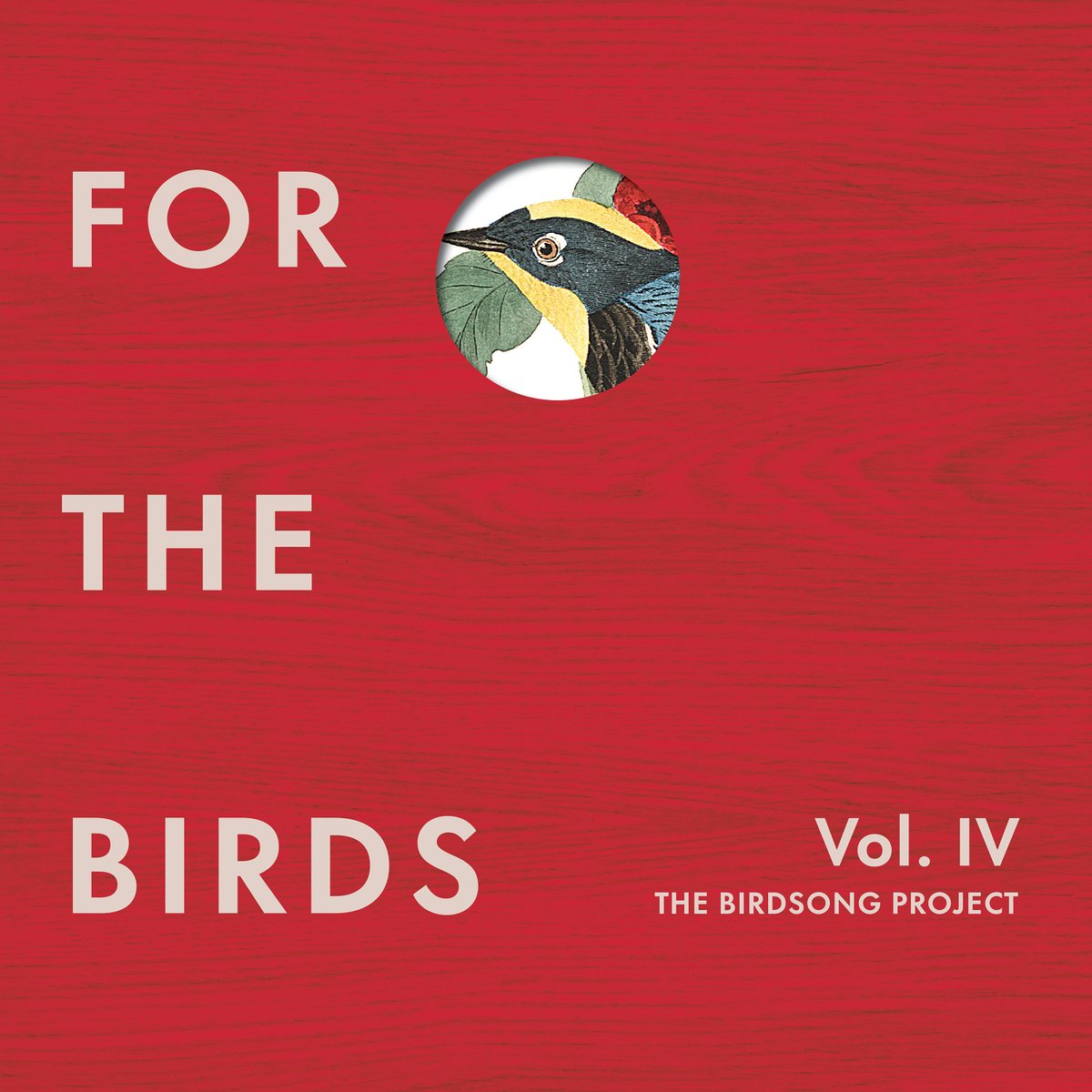 MannersMcDade's tweet photo. OUT TODAY Volume IV of the @BirdsongProject featuring โMIGRATIONโ from @kaitlynaurelia
#mannersmcdade #composer #composeragency #musicpublishing #BirdsongProject https://t.co/6uQ5Mo9234