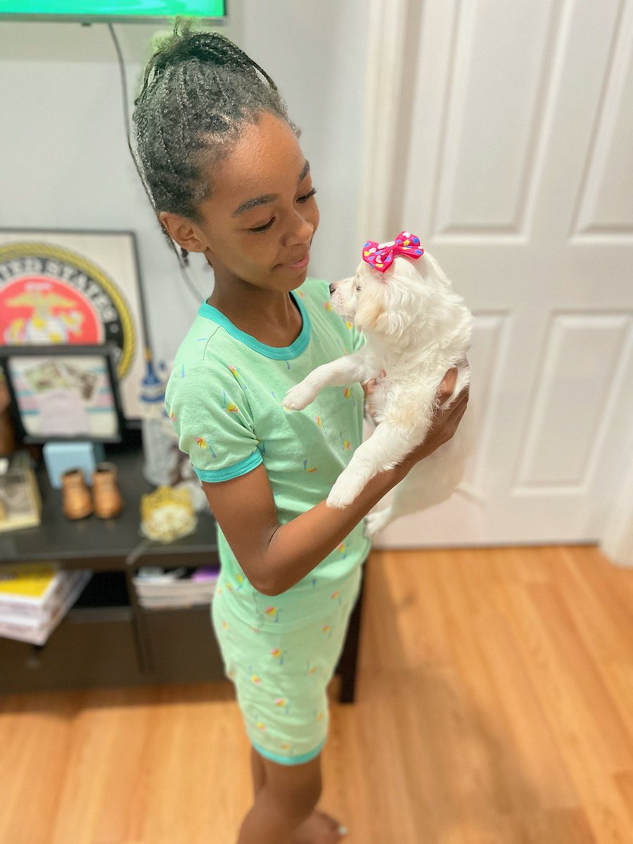 Meet Bella Joe Twitter Fam🥰. My daughter has anxiety and our respective therapists recommended a fur baby.  They were right, we are unbothered and in love 🥰