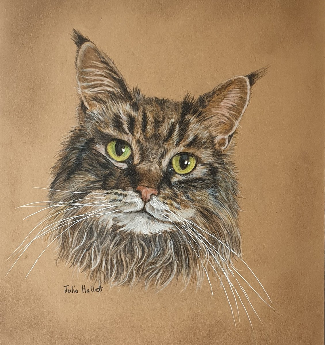 JuliaHallettArt's tweet photo. #artchallenge
Day 7 of invitation by @Strupps62 to share my art. Willow a beautiful pet of a friend. #polychromas coloured pencils on board. https://t.co/QTVDL7RN8L