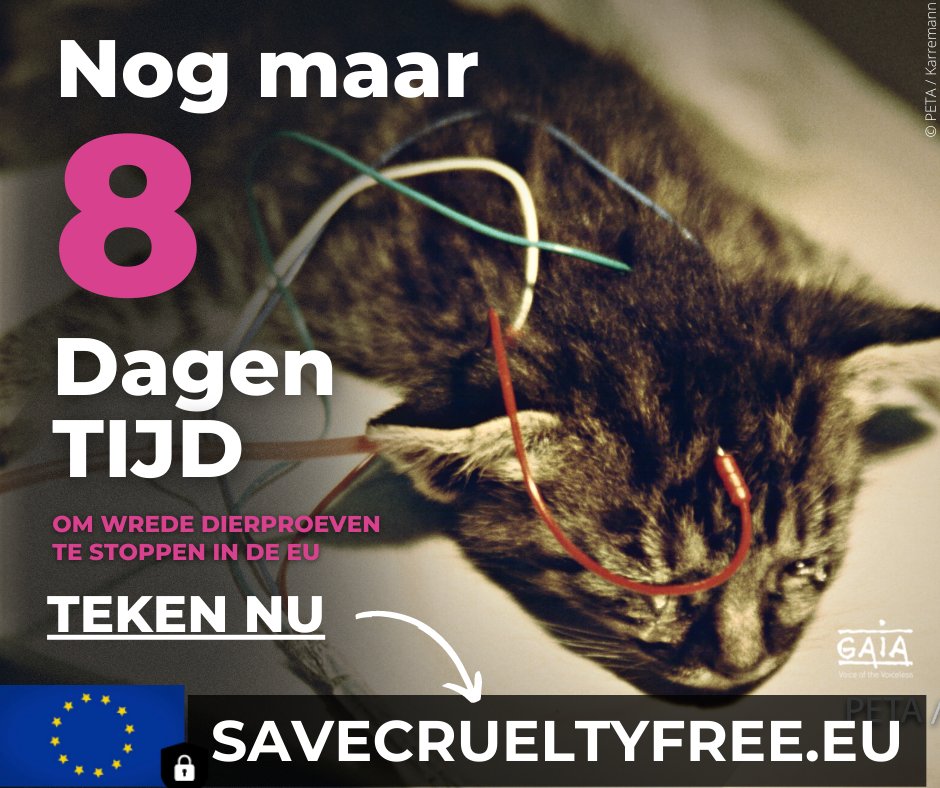 ⌛️🐒💉👨‍🔬 Nog 8 dagen tijd om geschiedenis te schrijven voor dieren in Europese laboratoria. Teken het Europees burgerinitiatief, voor een proefdiervrij Europa: savecrueltyfree.eu 🙏 #UseScienceNotAnimals #EndAnimalTesting #savecrueltyfreecosmetics