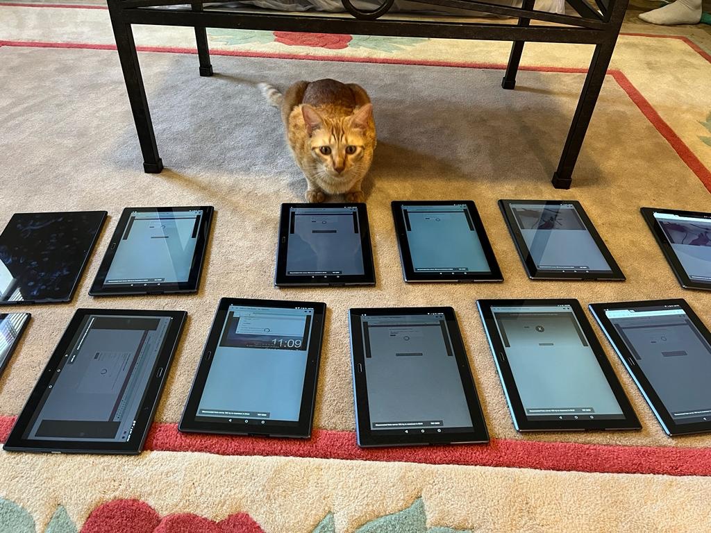 Solidarity Engineering tweet media