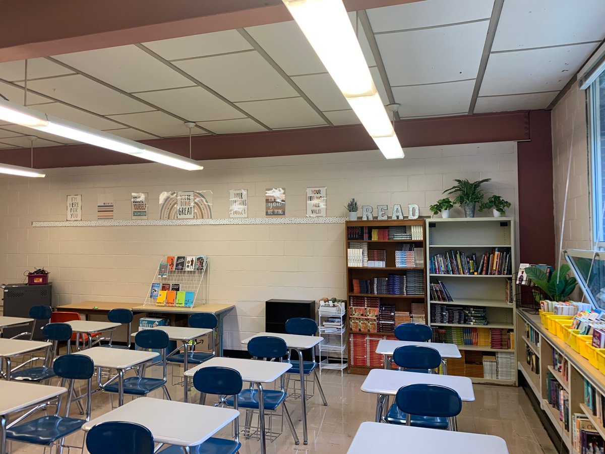 Stephanie Cardoso tweet media