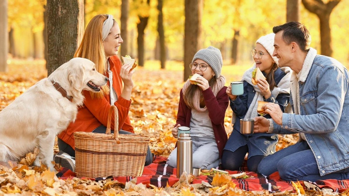 HipMamasPlace's tweet photo. If you’re looking for fun fall 🍂🍃🍁 family activities that won’t cost a fortune, here are some ideas you and your #family will enjoy! GO HERE: https://t.co/xQGx9mIk91 #fall #FallisComing #Fall2022 #fallvibes #familyfun #fallpicnic #lifestyleblogger #hipmamasplace https://t.co/dfsA2SabVa