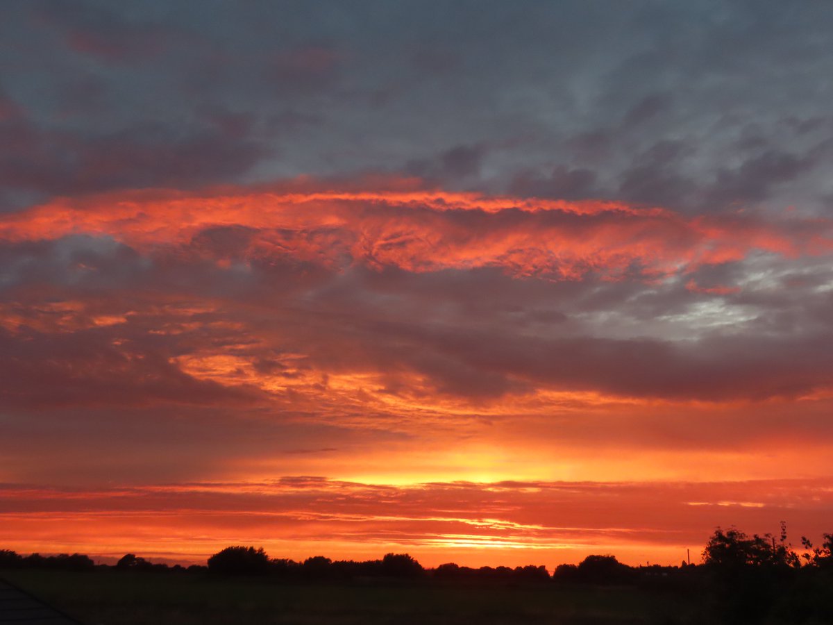 Kevin Bradshaw tweet media