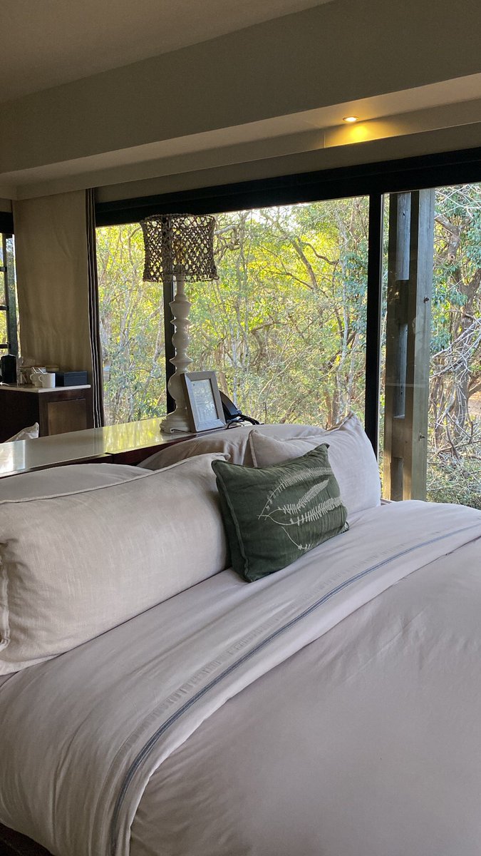 i4isp's tweet photo. Top story: @Sposhkay1: 'Home for the next couple of days, Pictures don’t do justice on how beautiful this lodge is. 

Booked through @stm_travel ' https://t.co/LoXa5DD7RB, see more https://t.co/Ua9FvJY5w5