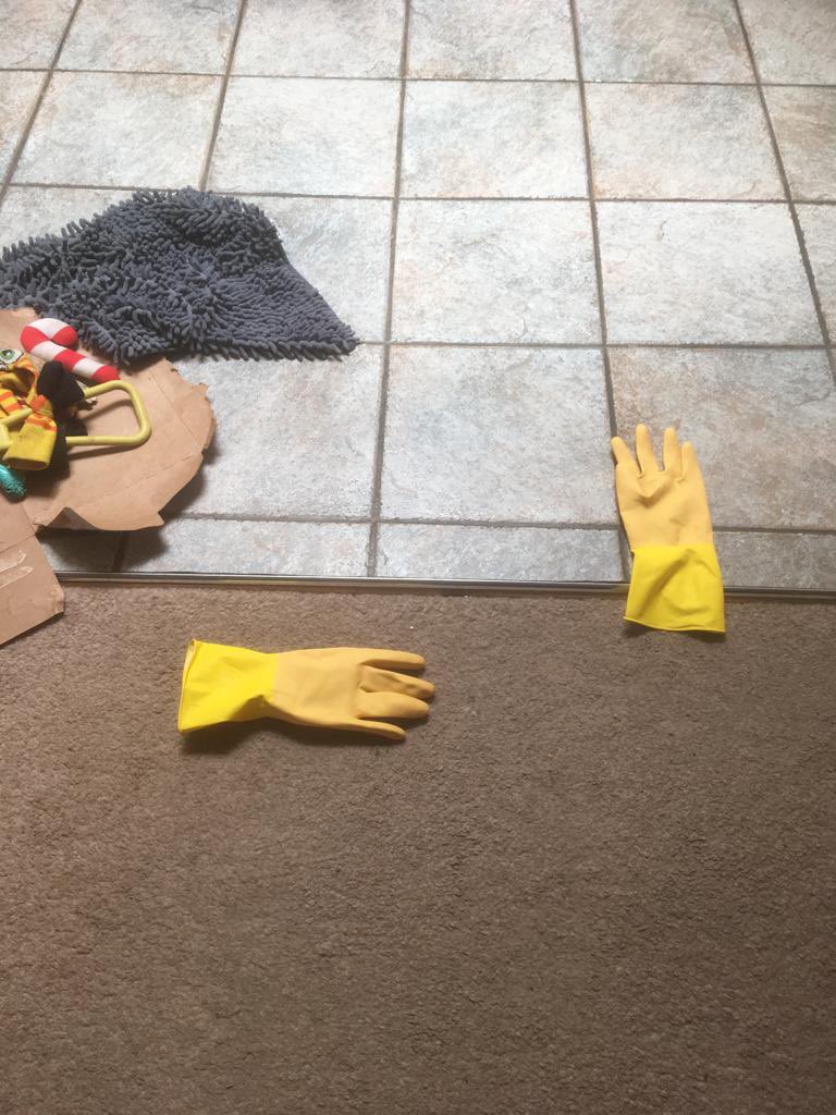 Stanley_BT_'s tweet photo. No I don’t know how your yellow glovies got there. Probably 2 doors down cat, just saying.... but was NOT me #btposse #innocent https://t.co/W3rJX3xIc0