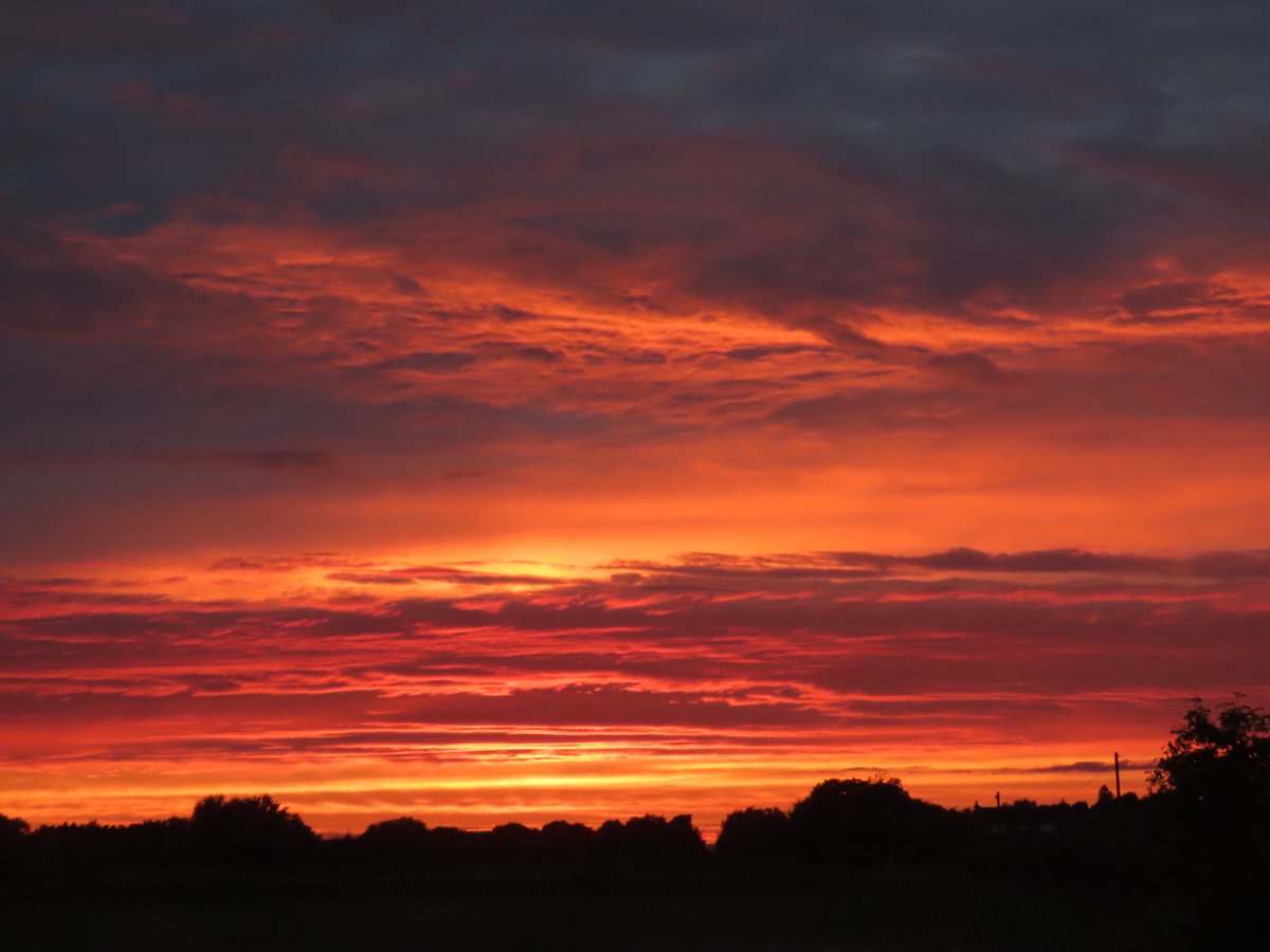 Kevin Bradshaw tweet media