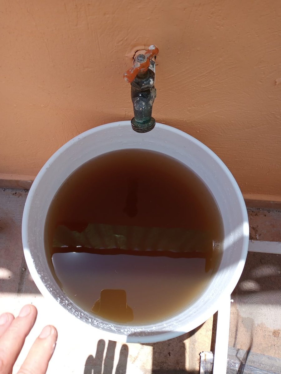ResidencialVic's tweet photo. @siapa @CarlosTorresLu solicitamos urgentemente su intervención para solucionar este problema que se ha venido dando desde hace meses en nuestro fraccionamiento, y qué con el pasar de los días se agudiza. La concentración de sedimentos en el agua potable es alta.

Evidencia → https://t.co/Bwjx3C0kgG