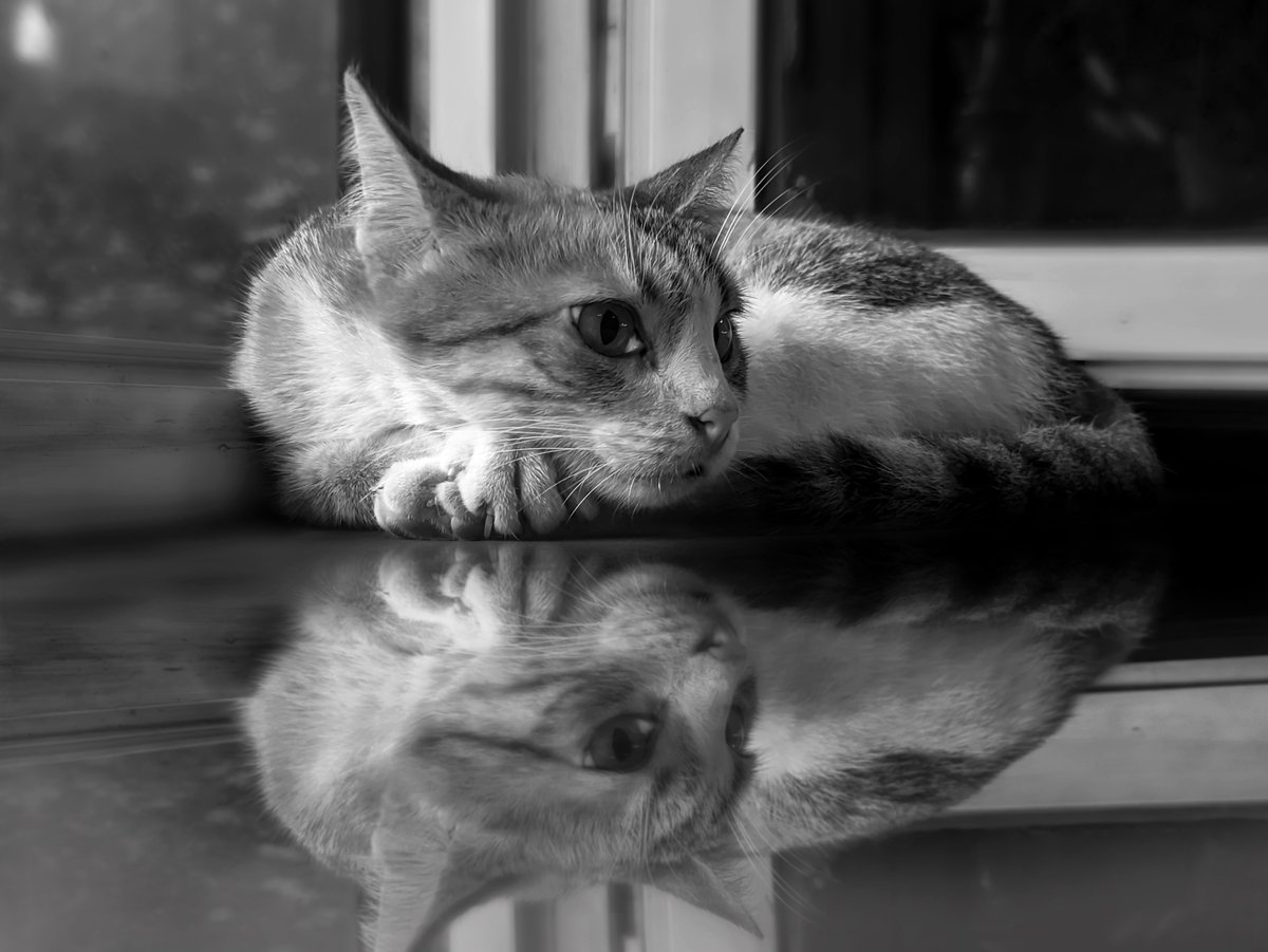 Ramzy × OceanArtz.eth  tweet media