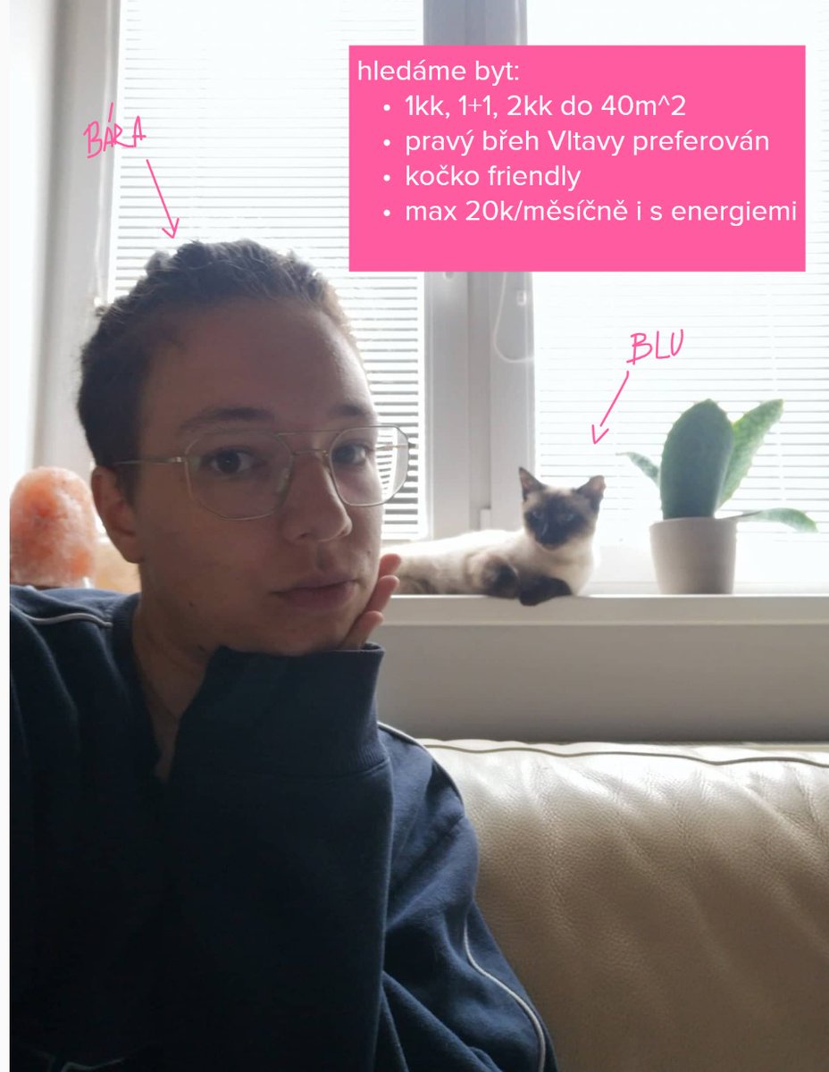 Barbora Tauerová tweet media