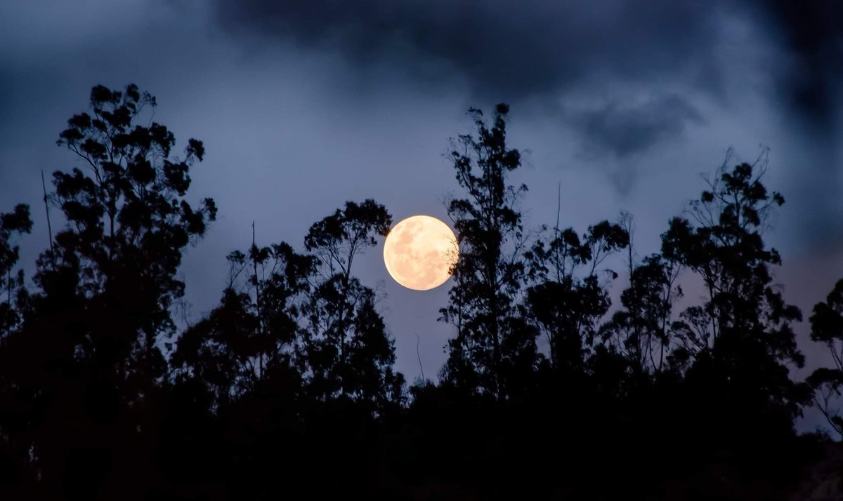 LuChArtE's tweet photo. Que las noches nos sigan sorprendiendo, como cuando la luna aparece de imprevisto y se queda para acompañarnos. Bellavista, Quito, Ec. 

#Quito #Uio #Luna #Moon #night #nikon #quitointrend #lunallena  #AllYouNeedIsEcuador #EcuadorAmaLaVida #Ecador  #elotroquito  #InstameetEc https://t.co/XX7IUdhP9E