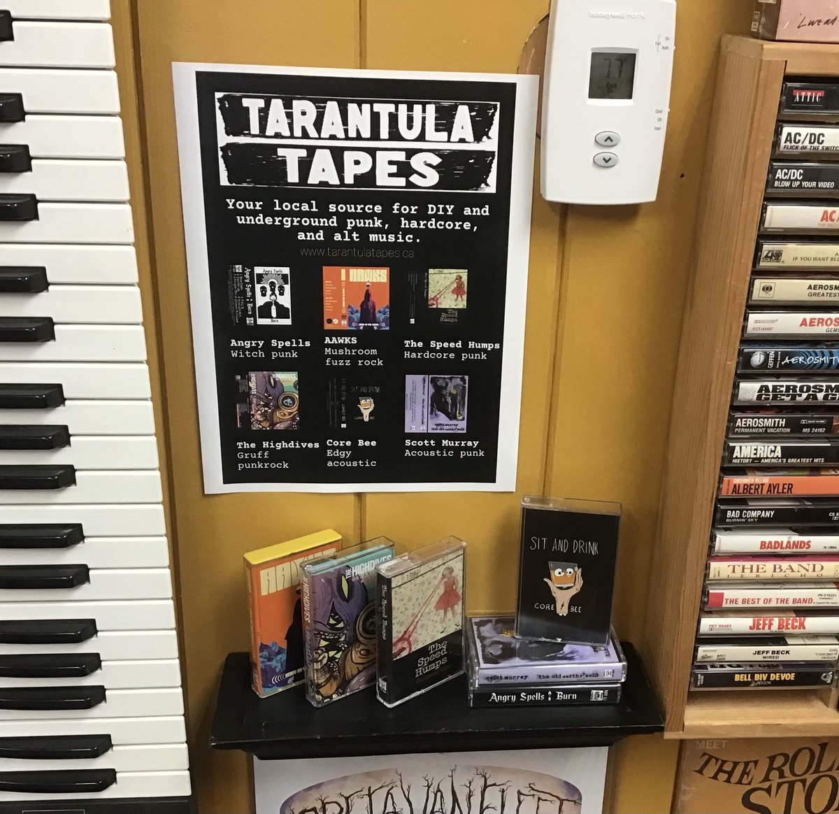 Tarantula Tapes tweet media