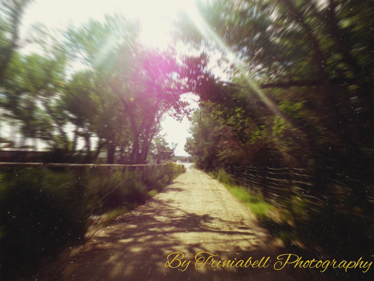 Triniabell1's tweet photo. Our hike today
Our travels across America by Triniabell Photography
Today Kanati and I set out and wandered around our home. Discovering everything. #ourtravelsacrossamerica #photographylovers #travel #life #adventure https://t.co/NwAXXGfMce