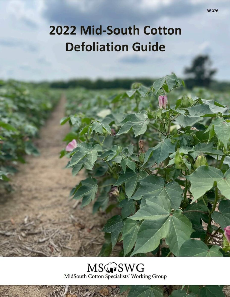 NEW BLOG POST:  Arkansas Cotton Update and 2022 Mid-South Cotton Defoliation Guide. Follow the link below to find this timely update and a link to the recently released publication.

Link to update: bit.ly/22-Cotton-upda…

<a href="/arcottonman/">Bill Robertson</a> <a href="/AR_TomBarber/">Tom Barber</a> <a href="/AginArk/">UA System Div of Ag</a> <a href="/AR_Extension/">Arkansas Cooperative Extension Service</a>