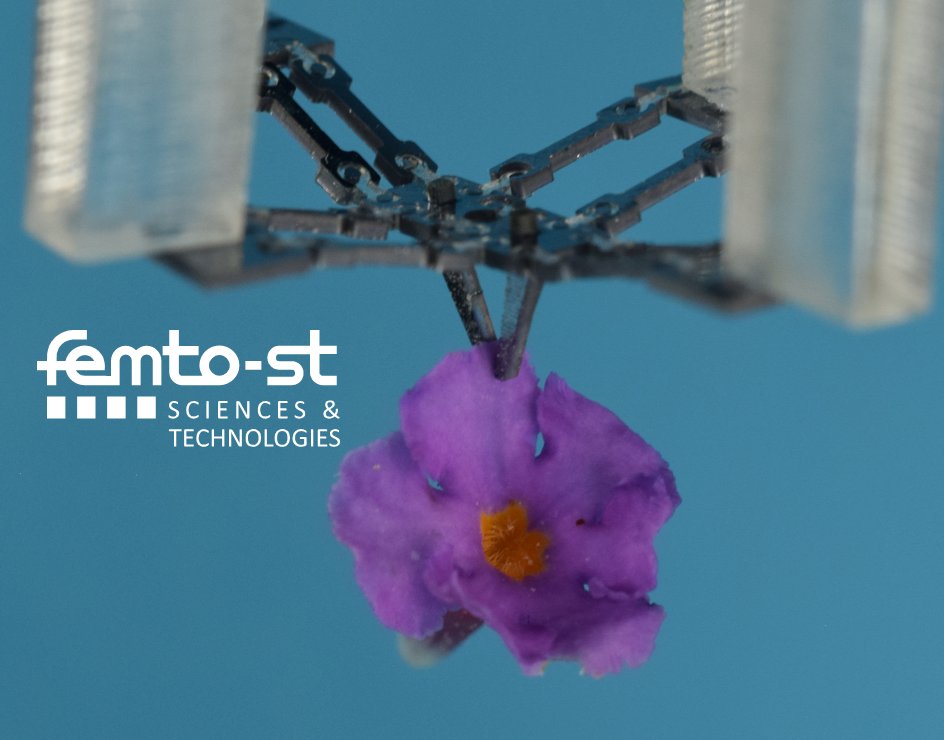 Gauthier_Femto's tweet photo. En un clin d'oeil, le microrobot #MiGriBot de @FemtoSt peut déplacer un objet à peine visible à l'oeil nu: un résultat publié aujourd'hui dans @SciRobotics et célébré par un bouquet de microfleurs offert au lauréat. https://t.co/01D4I20myX