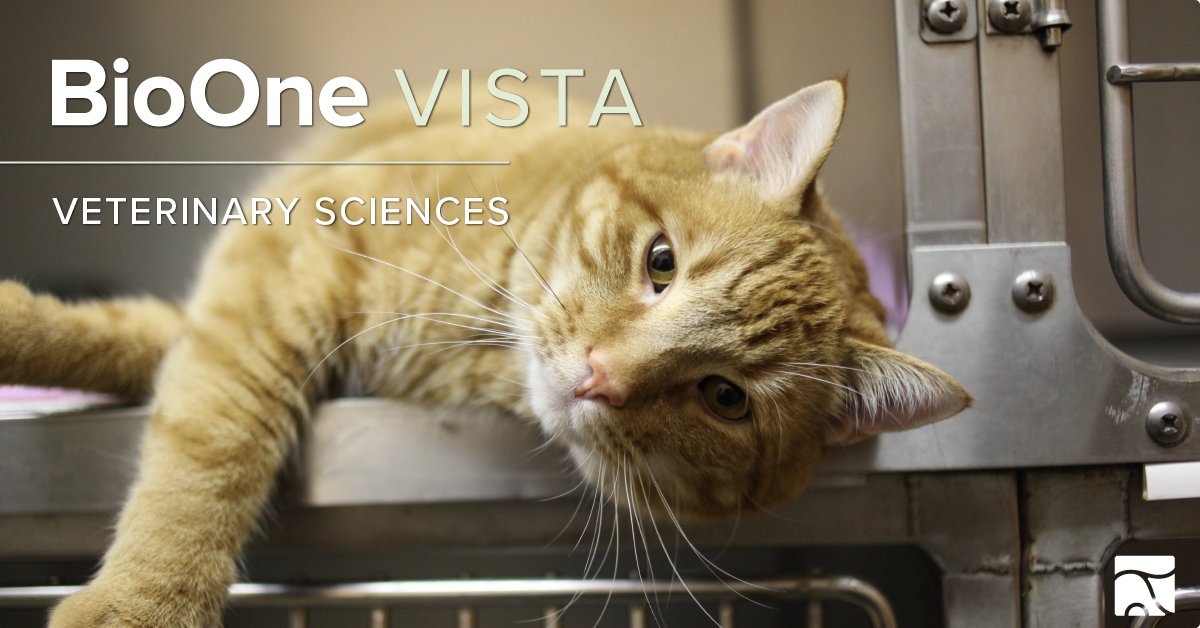 BioOneNews's tweet photo. Explore recent #veterinary science research in the latest BioOne VISTA: https://t.co/7ibsmny2fE

Featuring articles from @entsocsa, @AJWR_SAWMA, @ArdeolaJournal, @BiolReprod, @CCB_Journal, @environmentalhe, @IchsAndHerps, and more! 

#VetSci https://t.co/AxaeNTmlPP