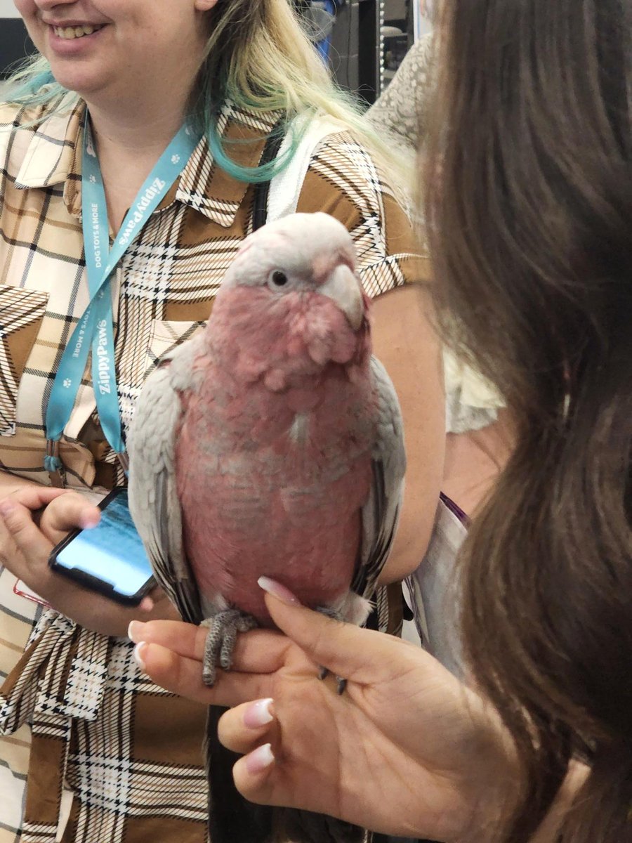 ConnectionsHous's tweet photo. Congratulations to @superzootweet on such a successful show and to the attendees, human and otherwise, that made it happen!

Thank you to the World Pet Association (WPA) for partnering with Connections Housing as the official housing provider for this amazing show! #SuperZoo https://t.co/EDquXifuMY