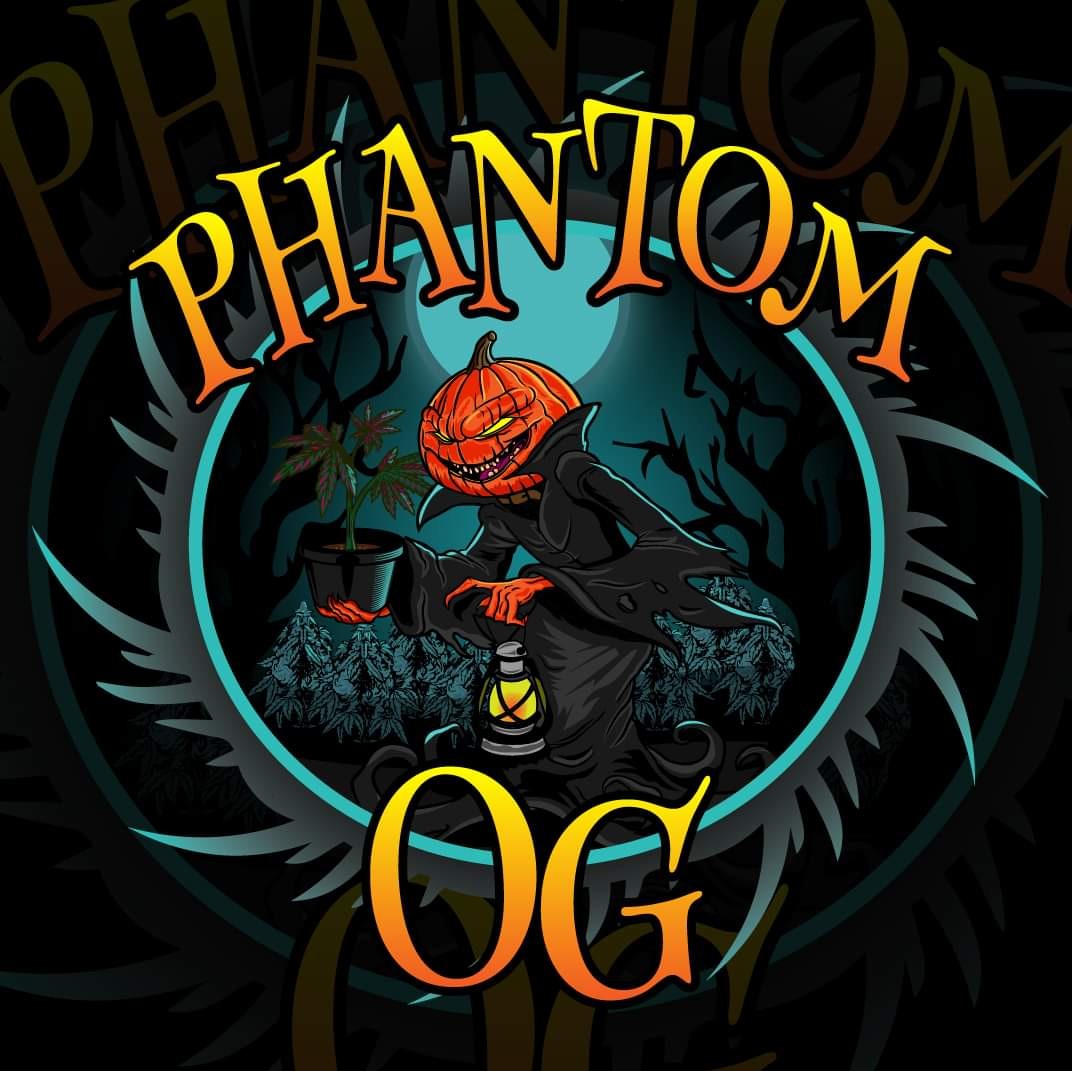 Crazy_Strainz's tweet photo. Just releases 2 new t-shirt👕 designs on to our store. They are live! Go check them out and pick you up some Crazy Strainz merch.😁🌱🌿
https://t.co/Aq4EVwHIS9

#Mmemberville #PhantomOG #HighRoller #Cannafam #Smokerfam #CannabisCommunity https://t.co/3Eiwm2HLII