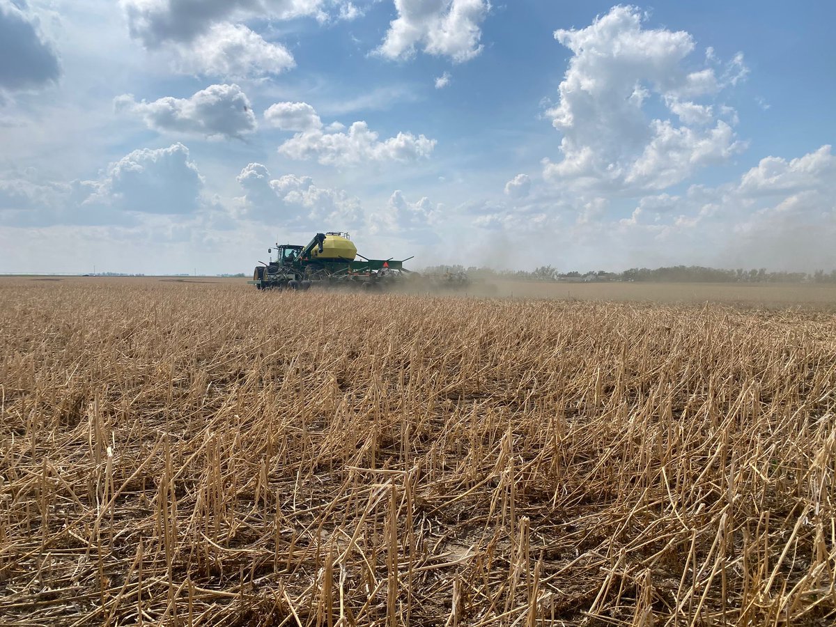 QuattroSeeds's tweet photo. Rye grass going in the ground 🌱#plant23 #seeding #fallseeding #AgTwitter #westcdnag @MartinEkstrand1 https://t.co/HvAdxyLzMB