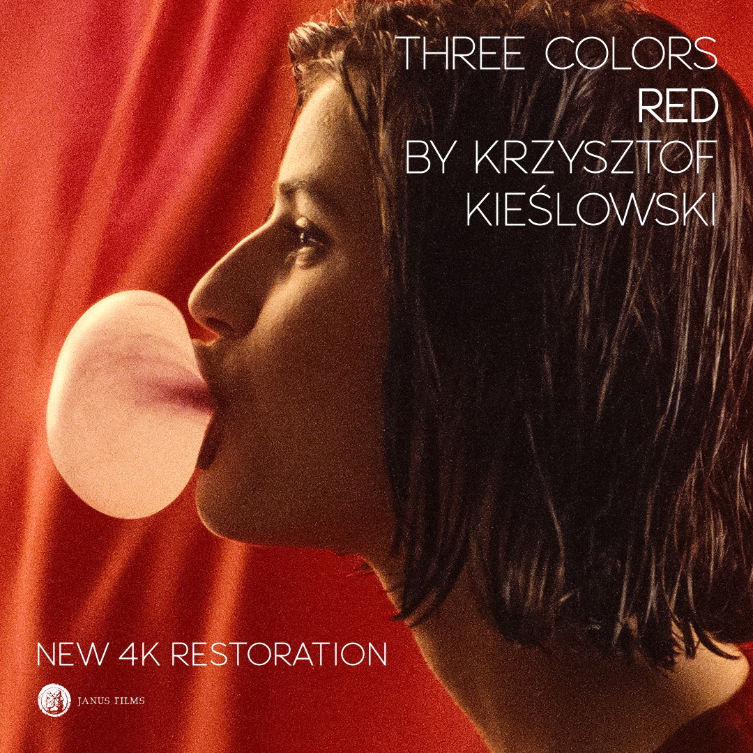 janusfilms's tweet image. 4K restorations for the entire THREE COLORS TRILOGY will play @FilmLinc this weekend. See all for $30! bit.ly/3Tf2MkY