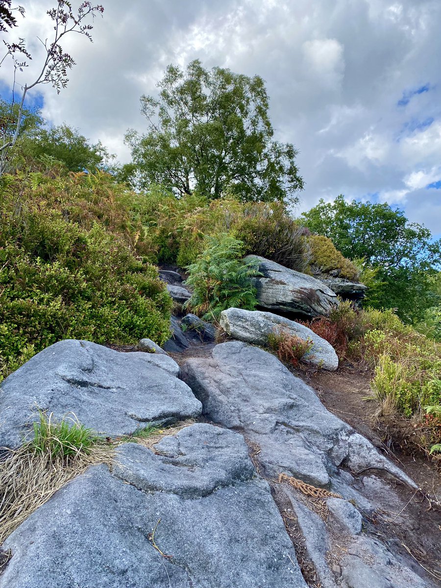 Climbing crags in Yorkshire #AHPsActive #WeActiveChallenge #orthoptistonthemove