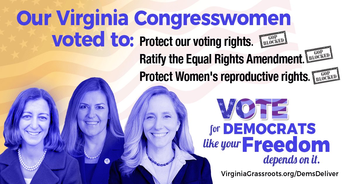 VA Democracy Forward tweet media