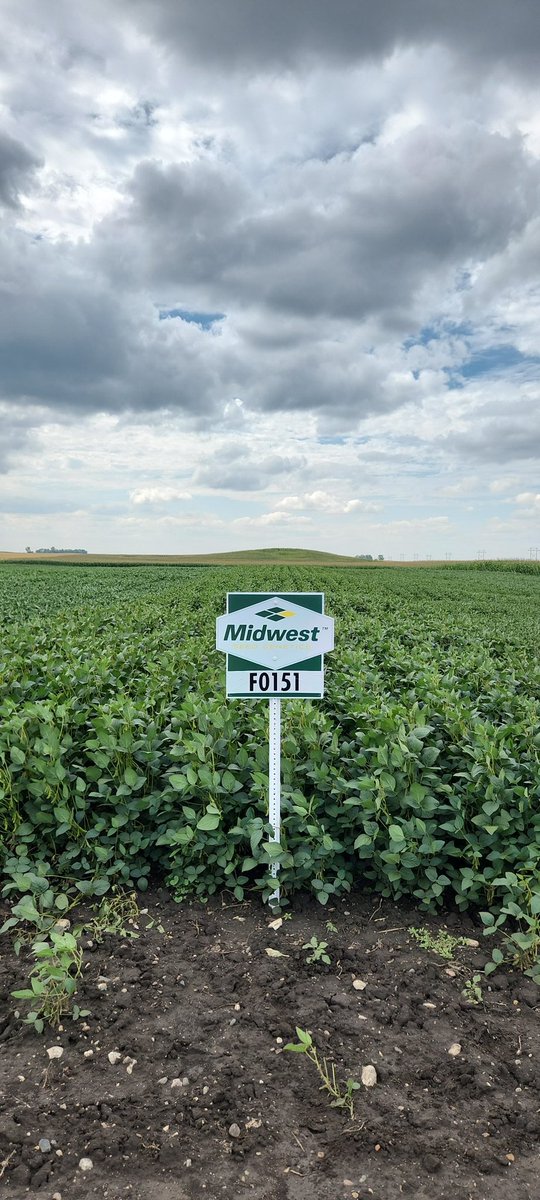 Bryan Kenner tweet media