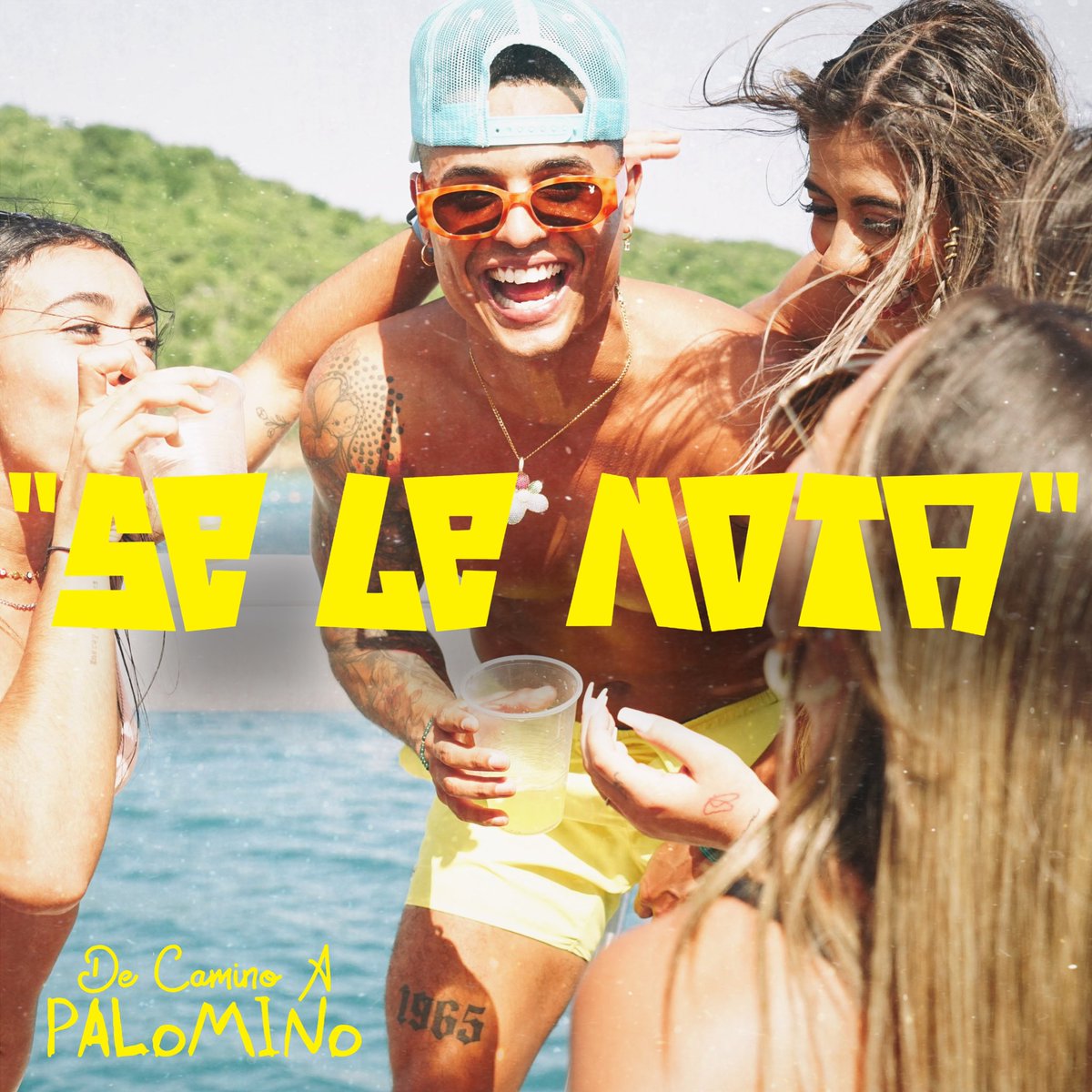 alialiceaa's tweet photo. โCUANDO BAILA SE LE NOTA TOAโ๐บ๐ฝ๐๐ฝ
Spotify: https://t.co/moLDgIxgwj
Apple Music: https://t.co/Anjzzmj7ub
YouTube: https://t.co/dgG9xdV2re
#ChristianAlicea #DjNelson #AlejandroArmes #DeCaminoAPalomino https://t.co/hVb0qaImhO